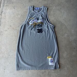 Harlem Globetrotters Jersey Mens XL Pinstripe 1927 Basketball Platinum FUBU NBA